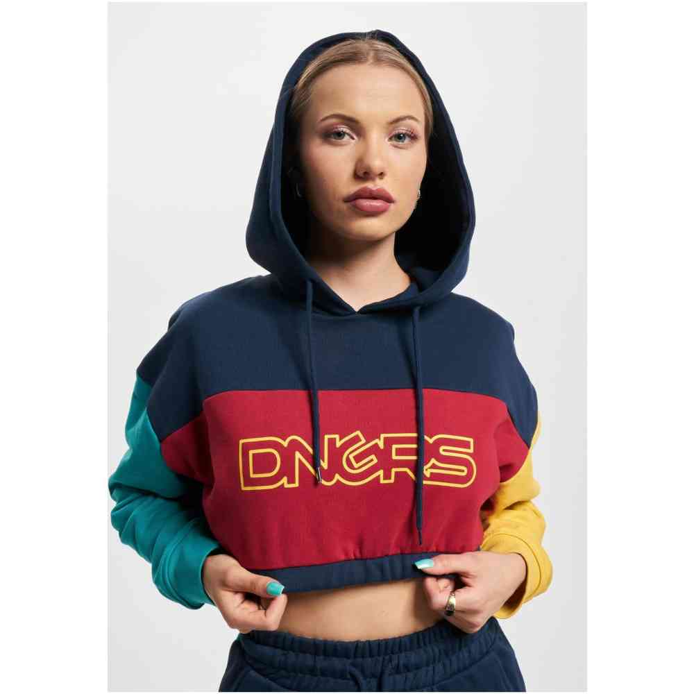Dangerous DNGRS - 4C Hoodie/trui - Multicolours